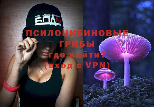 jwh Абаза
