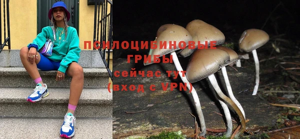 герыч Алексин