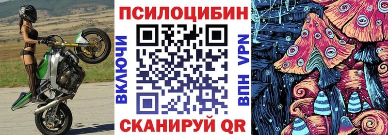 darknet клад  Калач  Псилоцибиновые грибы мицелий 